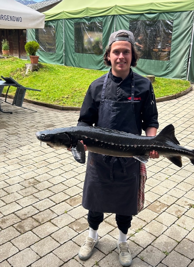 Frisch gefangener Stör vom Fischteich Lech